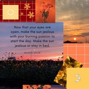 Meet your Posher, Abbi